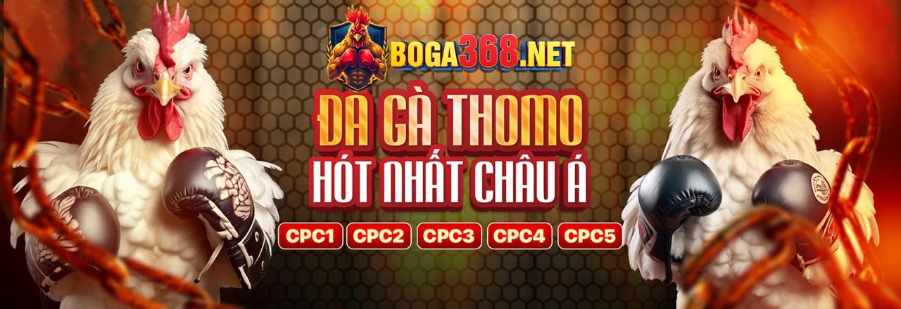 Hình ảnh chính trang Bài viết OKVIP Đăng Nhập